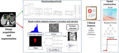 Artificial Intelligence in the Imaging of Gastric Cancer: Current Applications and Future Direction